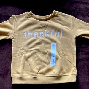 New with tags crewneck sweatshirt! Adorable for thanksgiving!